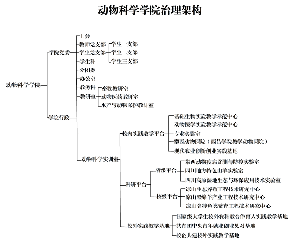 无标题