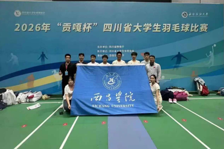 图片6