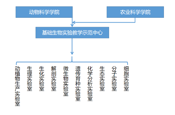 机构