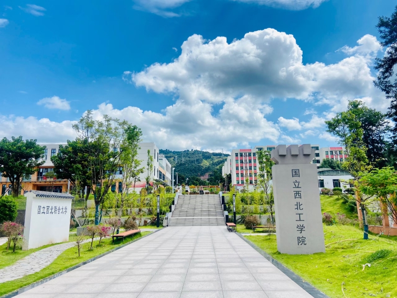 杨仁琴 杨仁琴
